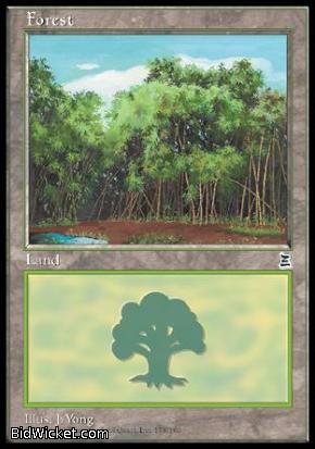 Forest (178), Portal Three Kingdoms, Magic the Gathering