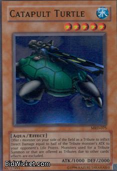 Catapult Turtle