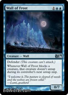 Wall Of Frost